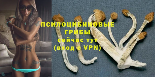 каннабис Ладушкин